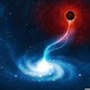 Meet your Posher, Andre